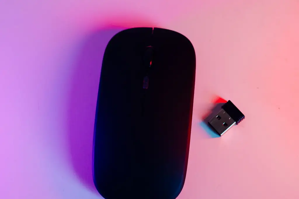 A black wireless mouse with its USB receiver on a colorfully lit surface